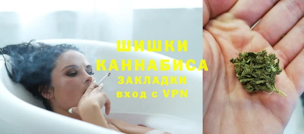 PSILOCYBIN Белокуриха