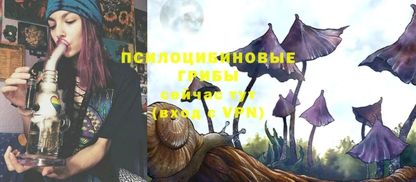 PSILOCYBIN Белокуриха