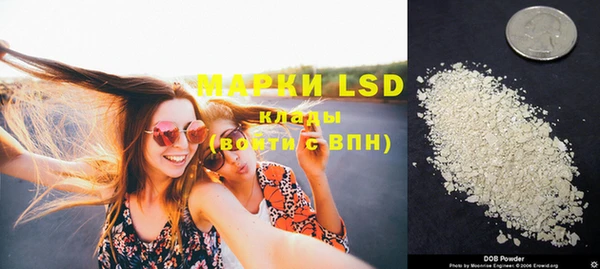 PSILOCYBIN Белокуриха
