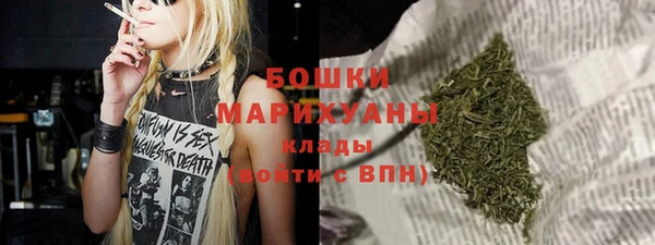 PSILOCYBIN Белокуриха