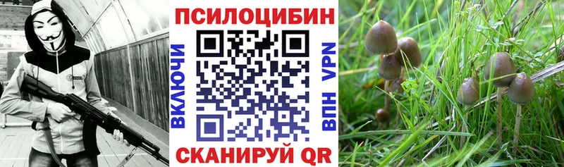 Псилоцибиновые грибы ЛСД  Михайлов 